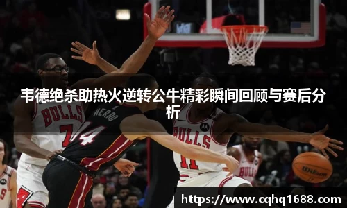 韦德绝杀助热火逆转公牛精彩瞬间回顾与赛后分析